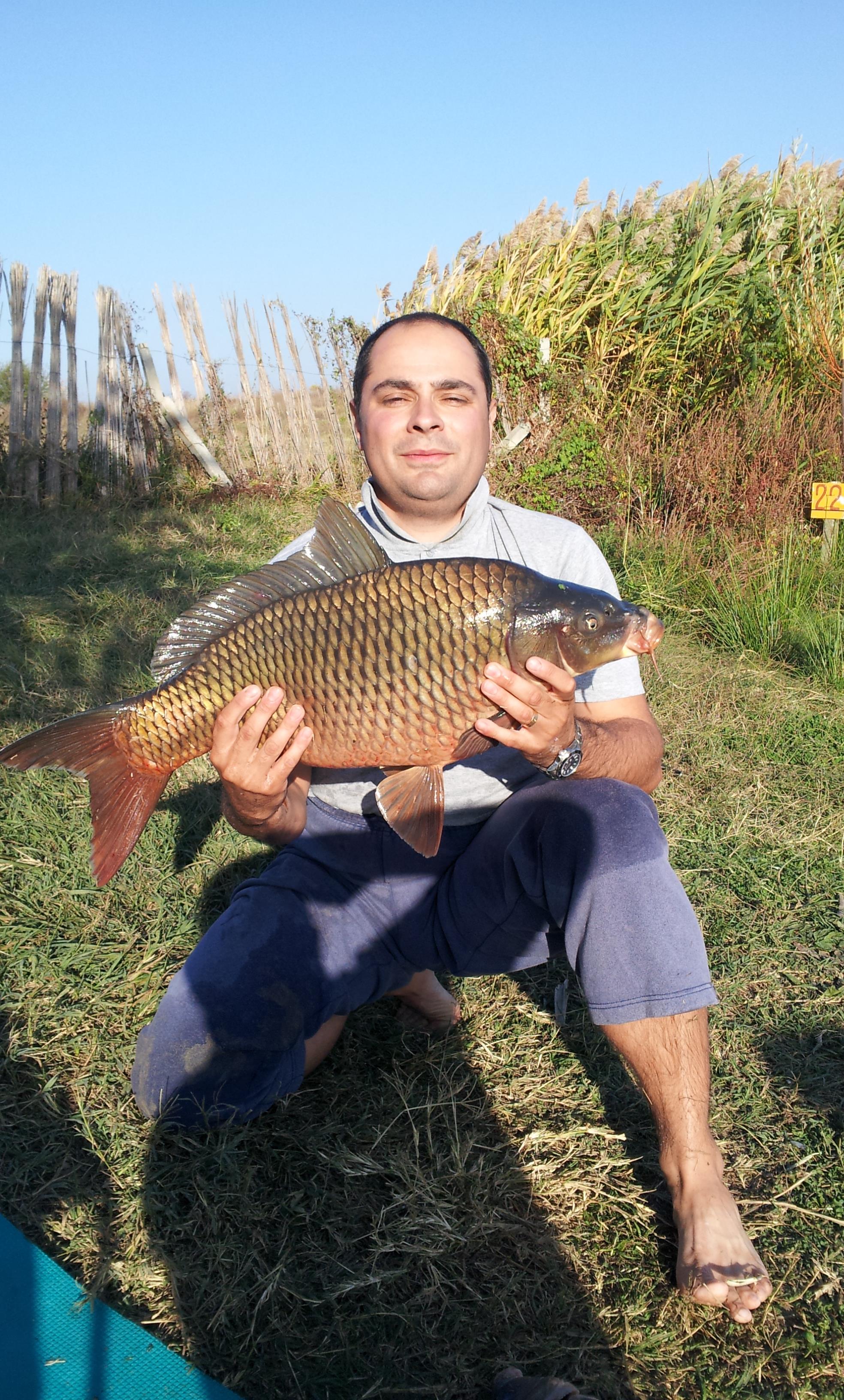 Stolnici - 20121026_161131.jpg